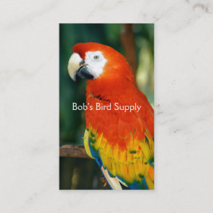 Scarlet Macaw Business Card
