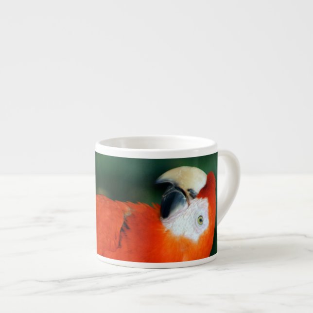 Scarlet Macaw Espresso Cup (Front Right)