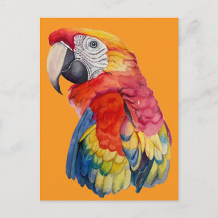Scarlet Macaw – Expressive Watercolor Bird Art Postcard