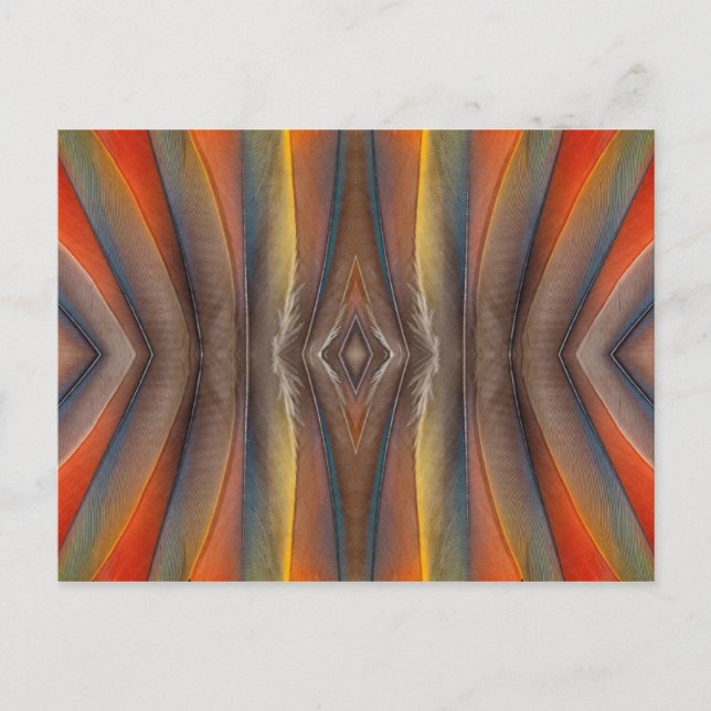 Scarlet Macaw feather design Postcard (Front)