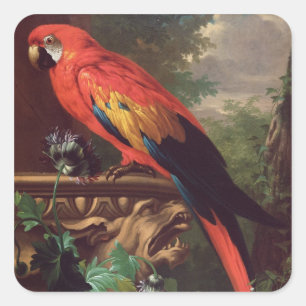 Scarlet Macaw in a Landscape (oil on canvas) Square Sticker