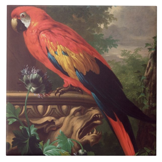 Scarlet Macaw in a Landscape (oil on canvas) Tile (Front)
