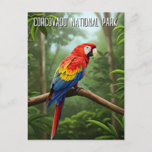 Scarlet Macaw in Corcovado National Park Travel Postcard