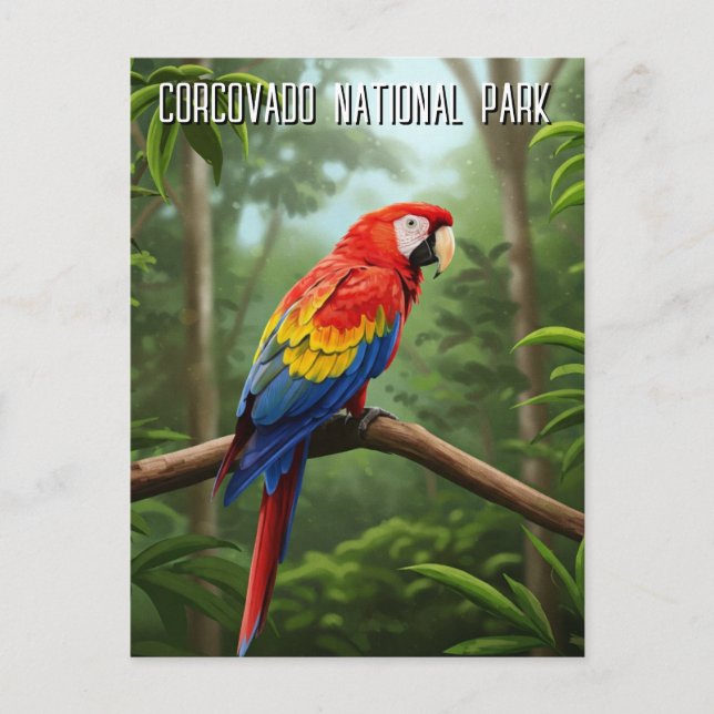 Scarlet Macaw in Corcovado National Park Travel Postcard (Front)