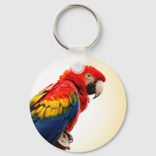 Scarlet Macaw Key Ring
