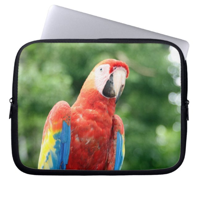 scarlet macaw laptop sleeve (Front)