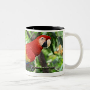 Scarlet macaw on tree limb Two-Tone coffee mug