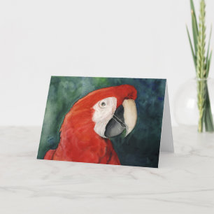 "Scarlet Macaw" Original Art Notecard