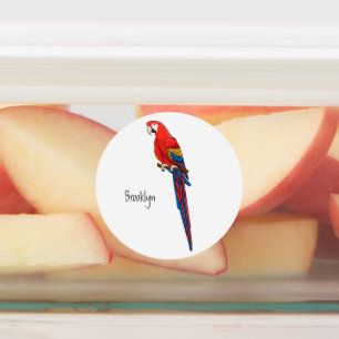 Scarlet macaw parrot cartoon illustration