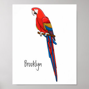 Scarlet macaw parrot cartoon illustration poster
