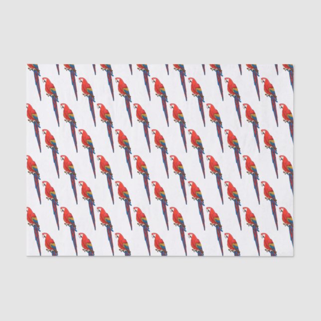 Scarlet macaw parrot cartoon illustration tissue paper (Front)