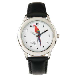 Scarlet macaw parrot cartoon illustration watch
