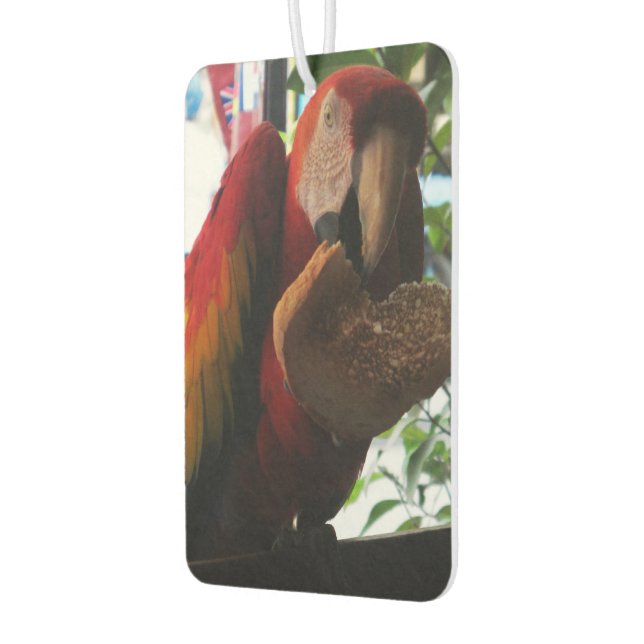 Scarlet Macaw Parrot Eating Toast Car Air Freshener (Left)