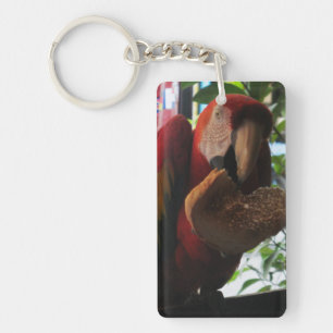 Scarlet Macaw Parrot Eating Toast Key Ring