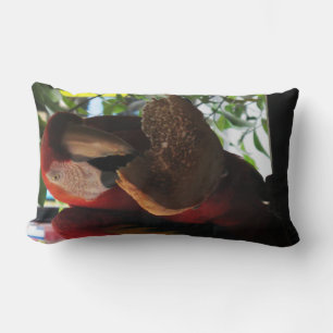 Scarlet Macaw Parrot Eating Toast Lumbar Cushion