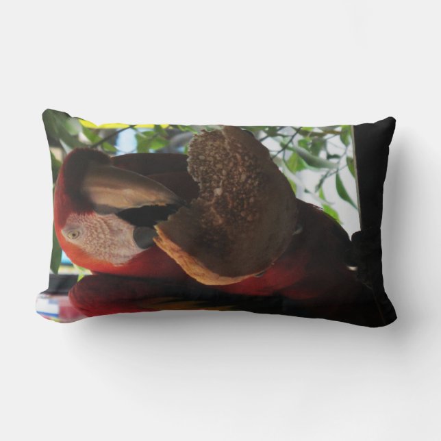 Scarlet Macaw Parrot Eating Toast Lumbar Cushion (Front)
