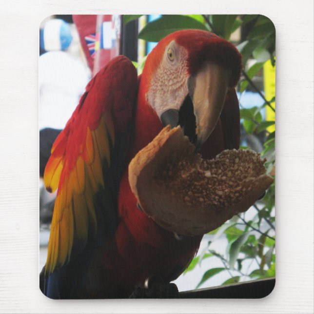 Scarlet Macaw Parrot Eating Toast Mouse Mat (Front)