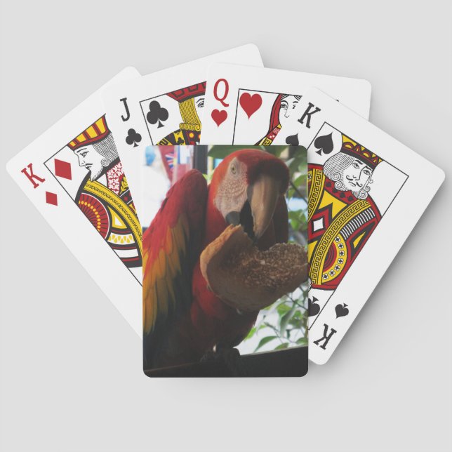 Scarlet Macaw Parrot Eating Toast Playing Cards (Back)