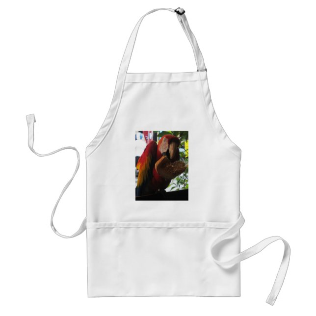 Scarlet Macaw Parrot Eating Toast Standard Apron (Front)