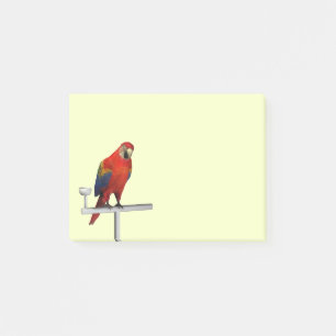 Scarlet Macaw Post-it Notes