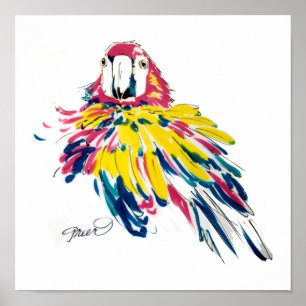 Scarlet Macaw Poster