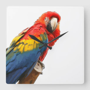 Scarlet Macaw Square Wall Clock