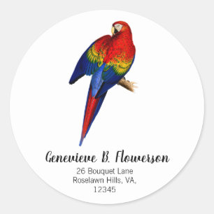 Scarlet Macaw Tropical Colourful Rain Forest Bird Classic Round Sticker