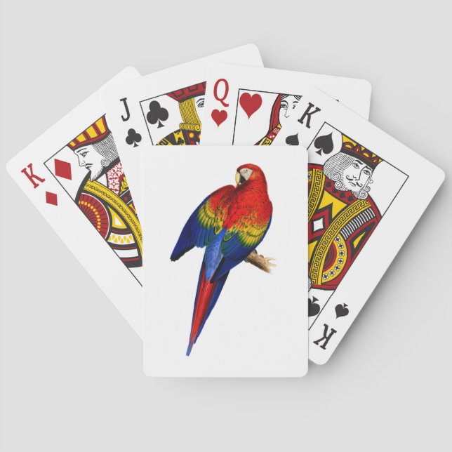 Scarlet Macaw Tropical Colourful Rain Forest Bird Playing Cards (Back)