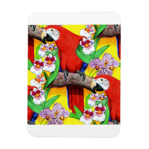 Scarlet McCaw Magnet