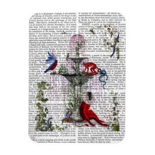 Scarlet Monkey 2 Magnet