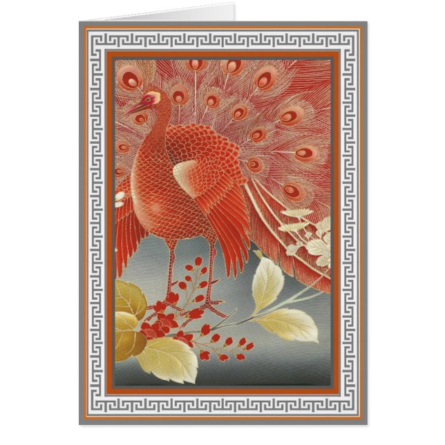 Scarlet Peacock (Front)