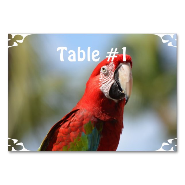Scarlet Red Macaw Table Number (Front)