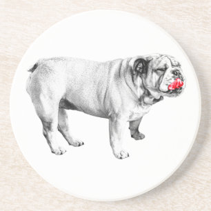 scarlet rest guard, bulldog coaster