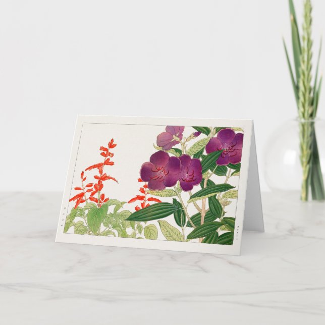 Scarlet sage, Melastoma by Tanigami Konan Card (Front)