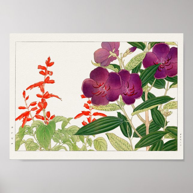 Scarlet sage, Melastoma by Tanigami Konan Poster (Front)