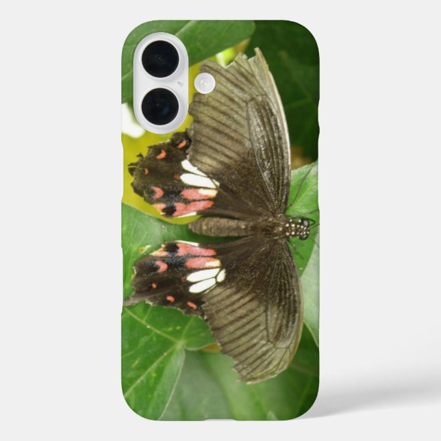 Scarlet Swallowtail Butterfly Case-Mate iPhone Case (Back)