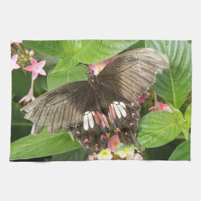 Scarlet Swallowtail Butterfly Macro Kitchen Towel (Horizontal)