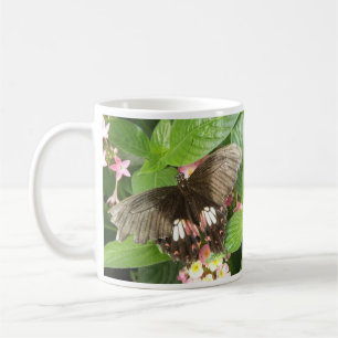 Scarlet Swallowtail Butterfly Macro Mug