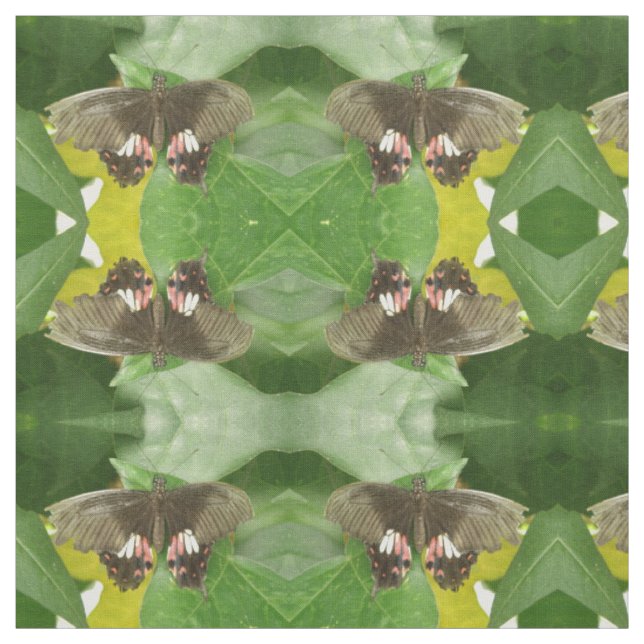 Scarlet Swallowtail Butterfly Patterned Animal Fabric (Swatch)