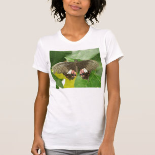 Scarlet Swallowtail Butterfly T Shirt