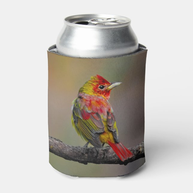 Scarlet Tanager Molting - Original Photograph Can Cooler (Can Front)