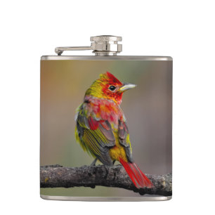 Scarlet Tanager Molting - Original Photograph Hip Flask