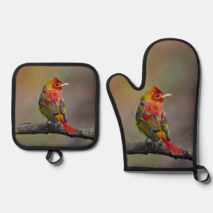 Scarlet Tanager Molting Original Photograph Oven Mitt & Pot Holder Set