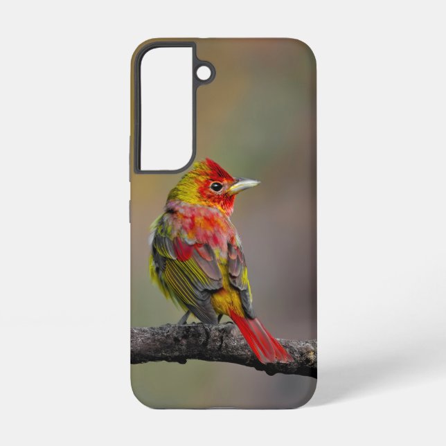 Scarlet Tanager Molting - Original Photograph Samsung Galaxy S22 Case (Back)