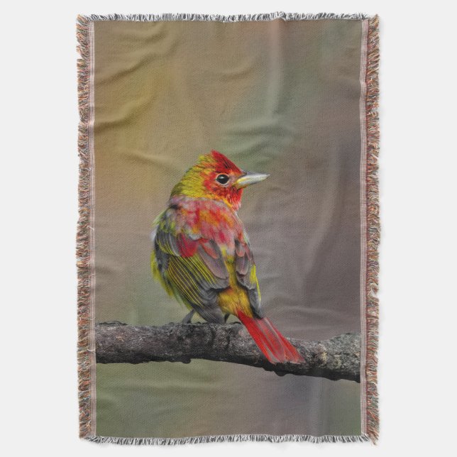 Scarlet Tanager Molting - Original Photograph Throw Blanket (Front Vertical)