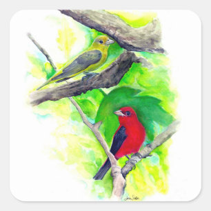 Scarlet Tanagers Birds Painting Square Sticker