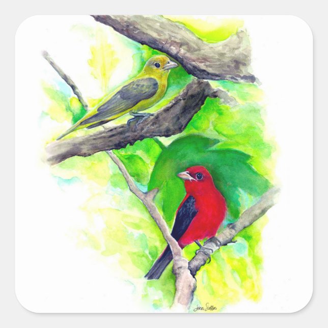 Scarlet Tanagers Birds Painting Square Sticker (Front)