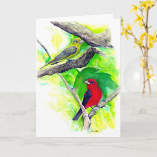Scarlet Tanagers Birds Watercolor Painting Card