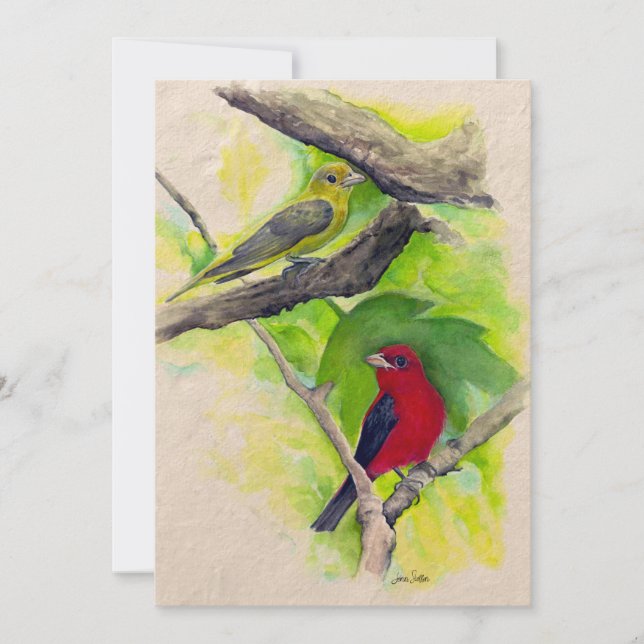Scarlet Tanagers Birds Watercolor Thank You Card (Front)