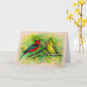 Scarlet Tanagers Watercolor Coloured Pencil Drawin Card